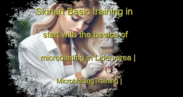 Skinart Basic training in start with the basics of microblading in Liden area | MicrobladingTraining | MicrobladingClasses | SkinartTraining-Czech Republic